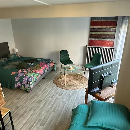 Independant Avec Jardin * Tours