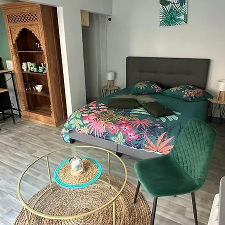 Chalet Independant Avec Jardin Tours